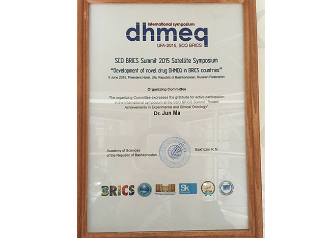 乌法金砖国家DHMEQ科技峰会